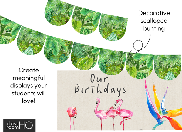 TROPICAL COAST Birthday Display Pack